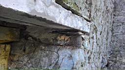 acastle
                          102220.jpg